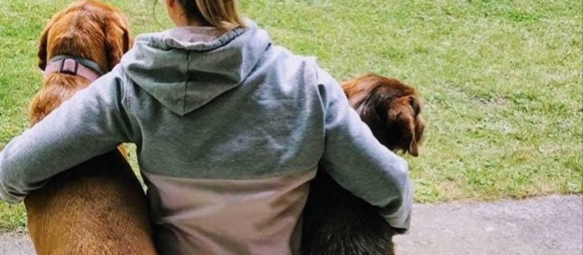 101853602_1619530581530585_6815161660416720896_n